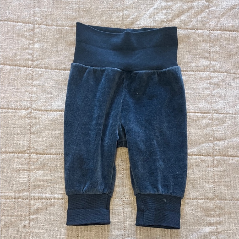 H&M Velvet Pants